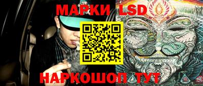 индика Аргун