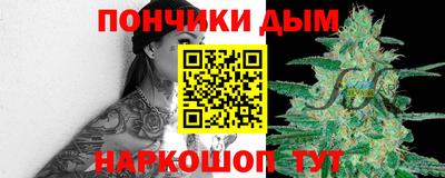 индика Аргун