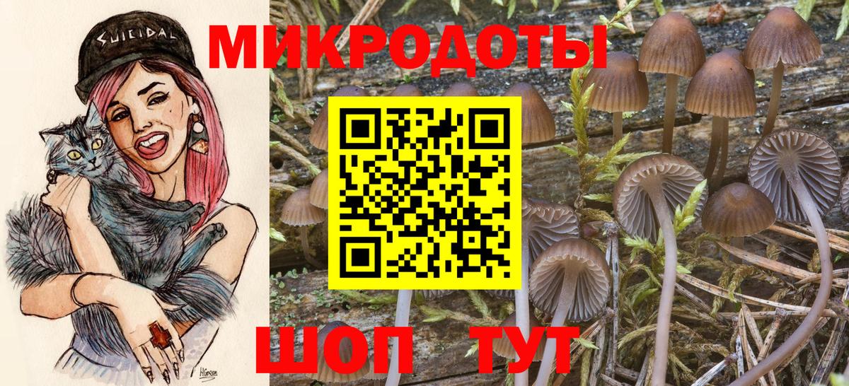 Братск  Псилоцибиновые грибы мицелий  цена наркотик  Вход с VPN 